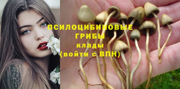 стаф Гусев