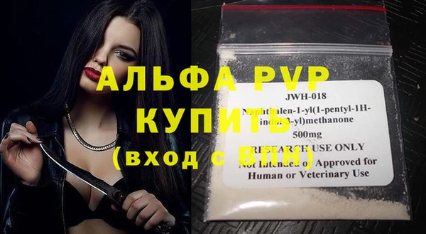 стаф Гусев