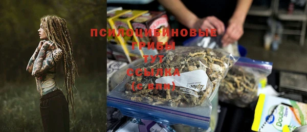 соль ск Гусиноозёрск